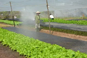 Hộ nuôi heo, gà…lên doanh nghiệp được hỗ trợ