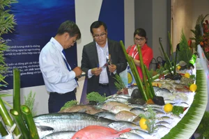 Cá, tôm, mực... Việt Nam chính thức bị phạt thẻ vàng 