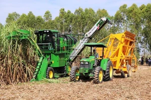 Thuế về 0%, đường Việt sợ bị hạ đo ván trên sân nhà 