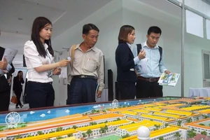 Có “quân xanh, quân đỏ” trong đấu giá đất