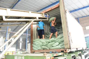 'Ông lớn' gạo vẫn được ưu ái hợp đồng cấp chính phủ