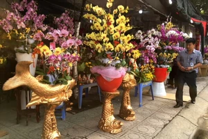 Cá chép mạ vàng 'cõng' hoa lan đắt khách ngày ông Táo