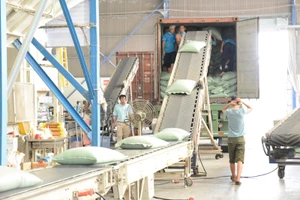 Trung Quốc ngưng mua gạo của 3 ông lớn vì… hạt cỏ