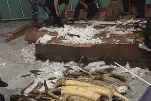 Thuê chị bán hàng rong làm giám đốc để… buôn lậu 