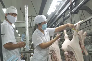 Giá heo tăng mạnh trở lại nhưng nhiều người lại... buồn 