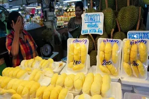 Thái Lan 'nhờ' VN bán giùm sầu riêng, măng cụt... sang TQ