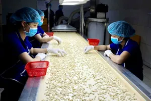 Trung Quốc mở nhiều nhà máy hạt điều dọc biên giới Việt Nam