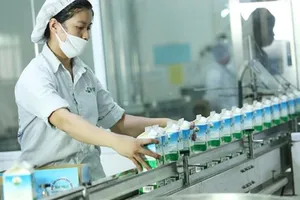 Chi hơn 1.700 tỉ, Vinamilk vẫn chưa thâu tóm được sữa Mộc Châu