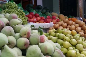 Đào, mận, táo Trung Quốc lại ồ ạt nhập vào Việt Nam