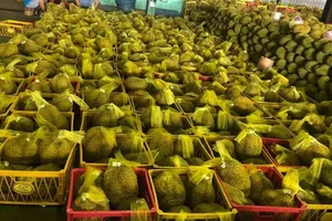 Sầu riêng Việt Nam 'bơi' sang Mỹ, giá 185.000 đồng/kg