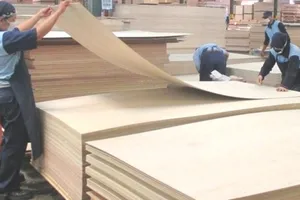 Cảnh báo 13 mặt hàng VN nguy cơ bị hàng Trung Quốc 'núp bóng' 