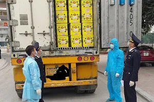 Hải quan TP.HCM xây dựng nhiều kịch bản chống dịch COVID-19