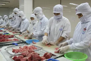 Việt Nam xuất khẩu cá ngừ sang Đức tăng mạnh 