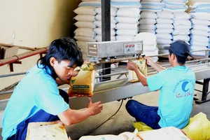 Trung Quốc tăng mua gạo, giấy... từ Việt Nam