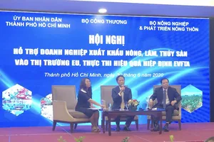 Sẽ lập sàn thương mại điện tử xuất khẩu hàng Việt sang EU