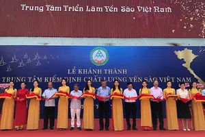  Yến sào có trung tâm kiểm định chất lượng, chống 'ép' giá