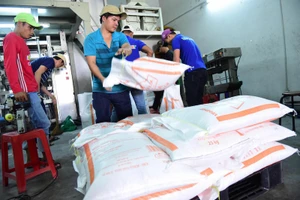 Pháp, Tây Ban Nha ...mua nhiều gạo Việt Nam