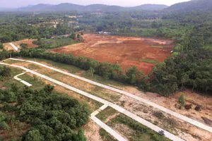 Xử nghiêm tình trạng tự ý phân lô đất rừng làm farmstay