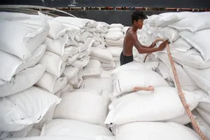 Giá gạo xuất khẩu Việt cao nhất trong 10 năm qua