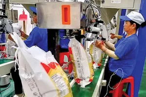 Trung Quốc, Philippines tăng mua gạo Việt với giá cao