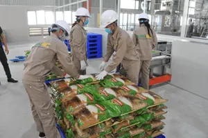 Đầu năm, gạo Việt Nam được nhiều nước mua với giá cao