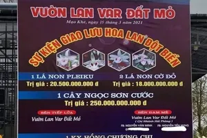 Mua bán lan đột biến hàng trăm tỉ phải đóng thuế gì?