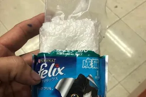 Ketamin giấu trong các gói thức ăn cho mèo chờ xuất khẩu