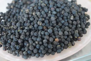 Quy định lạ lùng: Hồ tiêu bỗng nhiên bị coi là... dược liệu