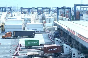 Hải quan nói về nguyên nhân khiến cảng Cát Lái kêu cứu