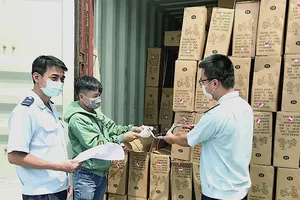 Hải quan TP.HCM lập tổ phản ứng nhanh 1080 hỗ trợ doanh nghiệp