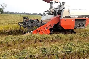 Bộ trưởng Nông nghiệp: Nếu có 'kế' gì hay xin gửi zalo cho tôi