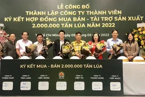 Ông lớn ngành gạo có đơn hàng khủng 2 triệu tấn lúa đầu năm