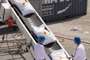 Gạo thơm, gạo lứt 'bay' sang châu Âu thu về hàng triệu đô 