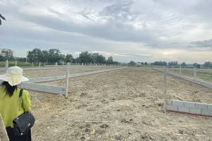 Đề xuất lên thành phố, giá đất Củ Chi hiện giờ ra sao?