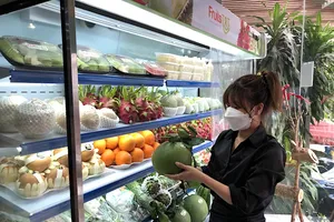 TP.HCM: Ra mắt trung tâm giới thiệu sản phẩm nông nghiệp sạch 