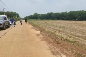 Giá đất nền Bình Dương có nơi tăng hơn 40% dù khách mua giảm