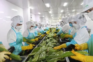 Ông lớn thạch dừa, nha đam gia nhập thị trường chứng khoán