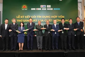 7 ngân hàng 'bơm' 100 triệu USD cho sản xuất lúa chất lượng cao