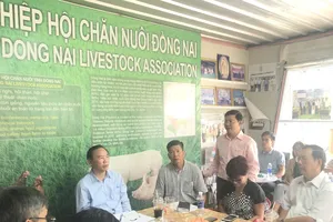 Hàng ngàn trang trại ở thủ phủ chăn nuôi 'kêu cứu' vì bị di dời 