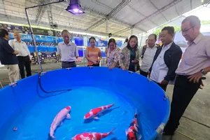 Khai mạc lễ hội cá cảnh 'khủng' nhất tại TP.HCM