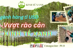 Ngành cao su vượt qua rào cản chuyển đổi kinh tế xanh