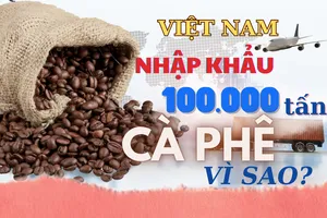 Việt Nam nhập khẩu hơn 100.000 tấn cà phê, vì sao?