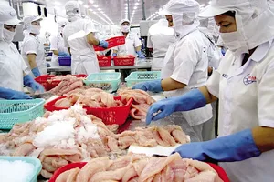 Trung Quốc bất ngờ tăng mua cá tra Việt Nam cuối năm