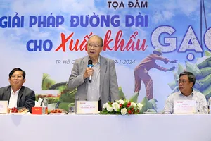Cơ hội cho gạo Việt Nam từ 'cánh đồng lớn' 1 triệu ha 