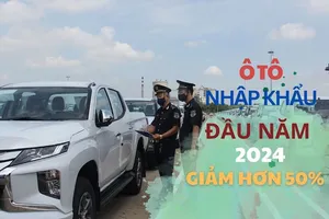Người Việt nhập khẩu ô tô Indonesia nhiều nhất đầu năm