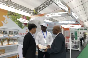 Bị ‘xù’ hợp đồng hàng loạt, DN hạt điều Việt Nam báo động đỏ 