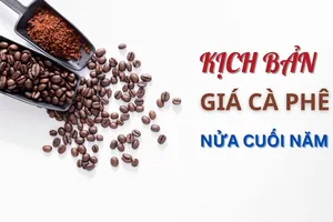 Kịch bản giá cà phê nửa cuối năm 2024