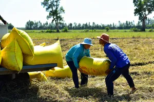 Gặp khó với quy định mua trực tiếp từ nông dân mới được khấu trừ thuế 