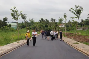 Giao dịch đất nền thành công bất ngờ tăng mạnh: Do tâm lý nhà đầu tư