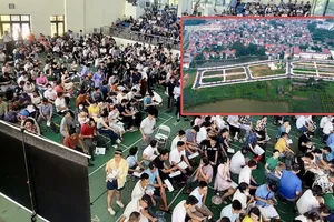 Nóng đấu giá đất vùng ven Hà Nội: Chuyên gia nói gì?
